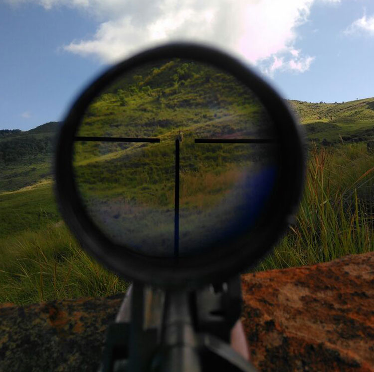 Precision Hunting Safaris