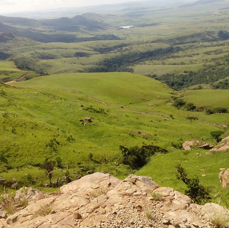 Precision Hunting Safaris