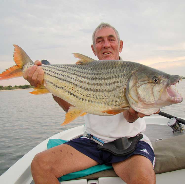 Precision Hunting Safaris