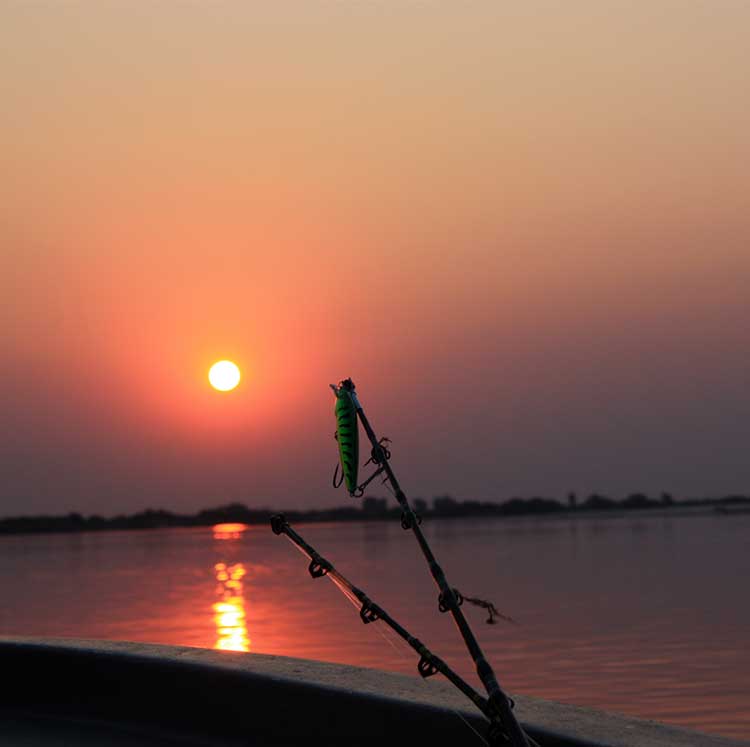 Precision Hunting Safaris