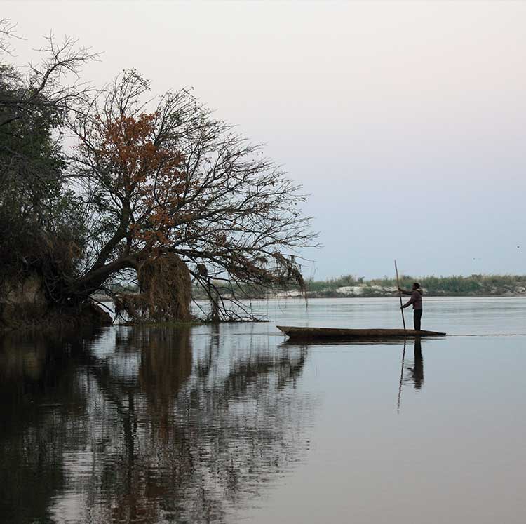 Precision Hunting Safaris
